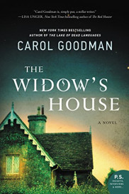 book cover of The Widow's House
