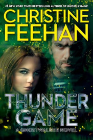 book cover of Thunder Game