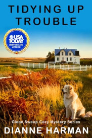 book cover of Tidying Up Trouble